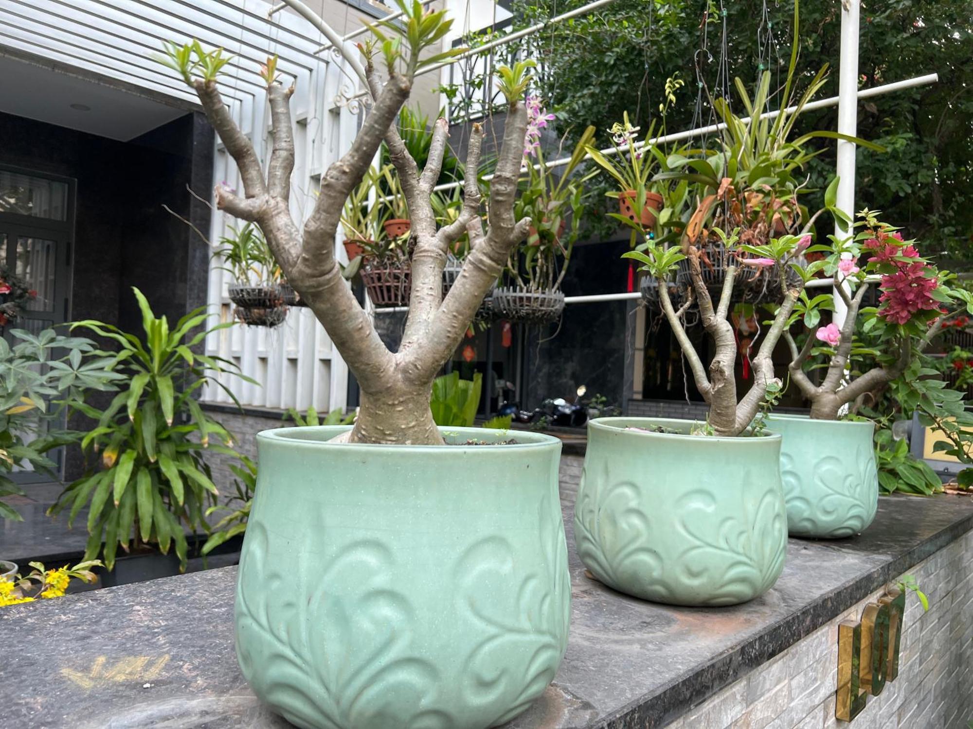Home Resort With Full Amenities Ho Chi Minh City Bagian luar foto
